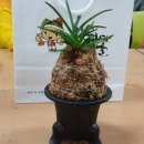 고령예마을 이미지