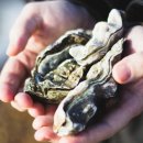 내내농수산 이미지