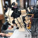 SC헤어