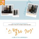스펠라헤어 - 익산시 무왕로4길 29 | [탈모방지 샴푸추천] 스펠라707 헤어케어샴푸& 토닉