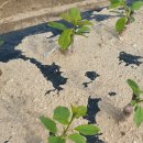 우림농원 이미지