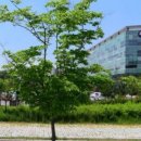 인디시스템 이미지