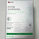 농심 반려다움 강아지 장 영양제 프로바이오틱스 후기｜반려동물 유산균으로 장 건강 관리