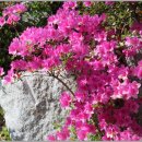 오륜대로 이미지