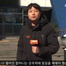 동부 할머니 이미지