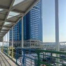 카페링크 | [대마도 1박2일] 쓰시마링크호 탑승 후기 + 대마도 맛집·카페 추천 (지도 링크 ㅇ)