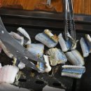 소나무정 이미지