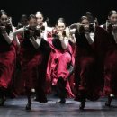 브런치콘서트 이미지