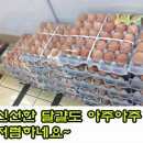 온고을마트
