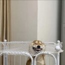 하단덤프 이미지