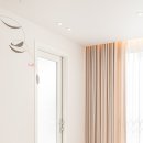 칠괴 우림필유 이미지