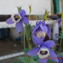 구천 마을회관 이미지