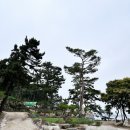 서해굿마트 이미지