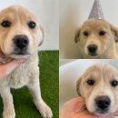 대추밭길60 이미지