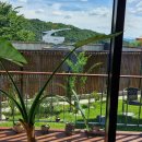 송지아구찜 이미지