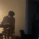 바른반려견센터 이미지