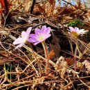 산동면사무소 이미지