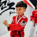 경희대 품태권도장 | 양주 유아 태권도, 아이들의 눈높이에 맞춘 수업