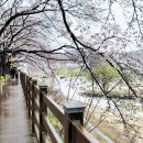 묘곡경로당 이미지