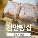 참살이빵 | 천안 참살이 빵집 오랜만에 맛본 추억의 햄버거 후기