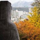 봉제산 강서다목적체육관 이미지