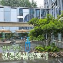청주 양갈비 맛집 전통황실양고기 창가룸 예약후기 내돈내산