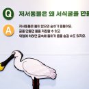 제26회 순천만 갈대축제(겨울) | 순천만 자연생태관 완전 정복! 아이와 함께 즐기는 자연·체험· 힐링이 있는 순천 가족 여행 코스 추천