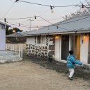 코코코 | 제주 동쪽 구좌읍 아이랑 숙소, 코코코 다랑쉬 독채 이용 후기