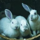 자연들마트 이미지