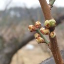 구례사람들 이미지