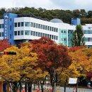 대구청과시장 이미지