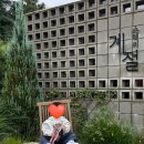 스테이 계절 | 대부도 단체독채 펜션 숙소 추천 스테이계절 풀빌라 이용 후기