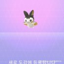 8월 1호 - 계획은 없고요 그냥 놀고 싶습니다.