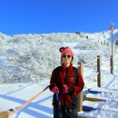1월16~17일(1박2일) 제주도 한라산/윗세오름 눈산행 이미지