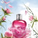 플로라 뷰티라인 이미지