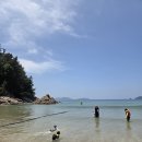 바라던바다 네이버블로그