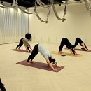 웰빙요가(오전) 이미지