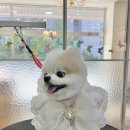 와니살롱 이미지