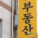 ﻿자료 없이 구두 설명만 하면 공인중개사도 손해배상 당합니다 이미지