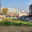 봉산목욕탕 이미지