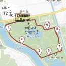 송광미화 | [7/25~26] 청량함 3방울 따가움 7방울