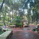 모모민박 이미지