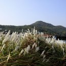 바우길 9구간 이미지