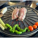 진돈 이미지