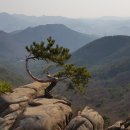 안양예술공원 이미지