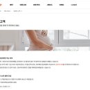 (주)포시즌알앤티 | [26년 3월] 임신 17주 ~ 21주 튼튼일기 w. 행복과 불행은 한끗차이, 우리 튼튼이는 행복만 해라