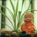 참마음유치원 이미지