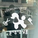 윤댕댕살롱 이미지