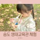 새이룸어린이집 | 새아침공원 생태교육관 무료 체험 송도공원사업단 후기