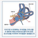 주월한방병원 네이버블로그